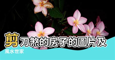 門口放剪刀|風水世家／遇「剪刀煞」怎麼辦？ 放一樣物品可化解 